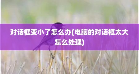 对话框变小了怎么办(电脑的对话框太大怎么处理)