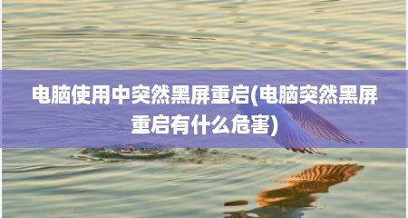 电脑使用中突然黑屏重启(电脑突然黑屏重启有什么危害)