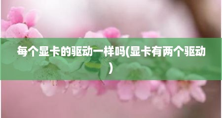 每个显卡的驱动一样吗(显卡有两个驱动)