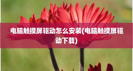 电脑触摸屏驱动怎么安装(电脑触摸屏驱动下载)