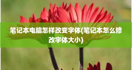 笔记本电脑怎样改变字体(笔记本怎么修改字体大小)