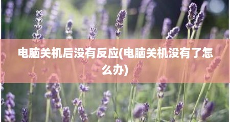 电脑关机后没有反应(电脑关机没有了怎么办)