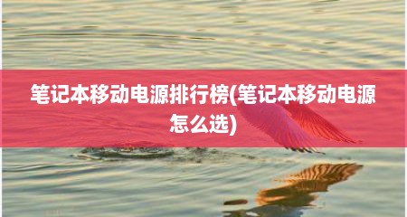 笔记本移动电源排行榜(笔记本移动电源怎么选)