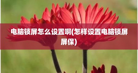电脑锁屏怎么设置啊(怎样设置电脑锁屏屏保)