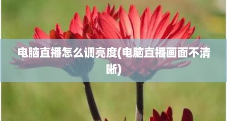 电脑直播怎么调亮度(电脑直播画面不清晰)