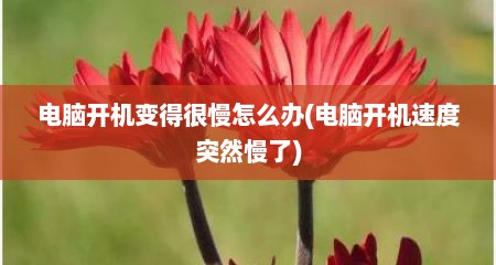 电脑开机变得很慢怎么办(电脑开机速度突然慢了)