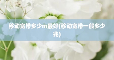 移动宽带多少m最好(移动宽带一般多少兆)