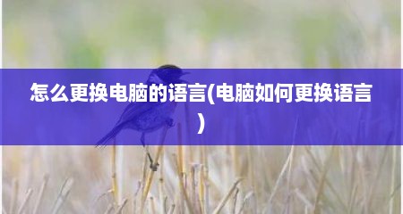 怎么更换电脑的语言(电脑如何更换语言)
