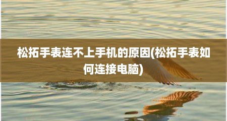 松拓手表连不上手机的原因(松拓手表如何连接电脑)