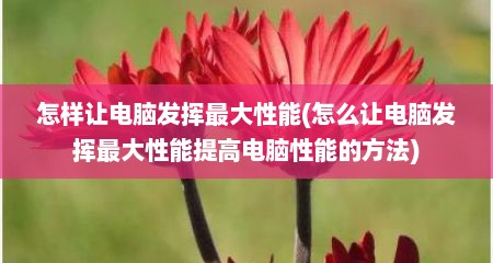 怎样让电脑发挥最大性能(怎么让电脑发挥最大性能提高电脑性能的方法)