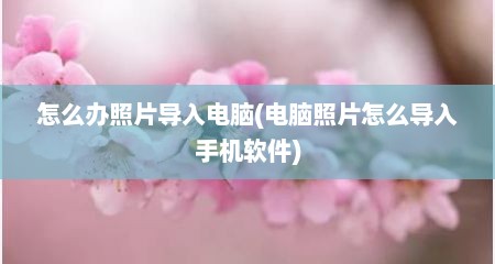 怎么办照片导入电脑(电脑照片怎么导入手机软件)