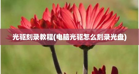 光驱刻录教程(电脑光驱怎么刻录光盘)
