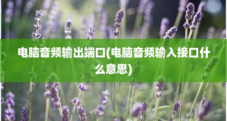 电脑音频输出端口(电脑音频输入接口什么意思)