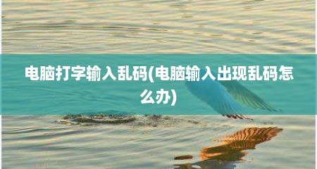 电脑打字输入乱码(电脑输入出现乱码怎么办)