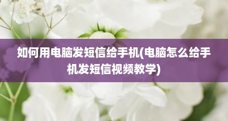 如何用电脑发短信给手机(电脑怎么给手机发短信视频教学)