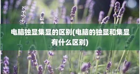电脑独显集显的区别(电脑的独显和集显有什么区别)
