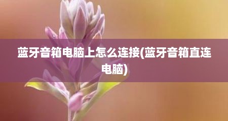 蓝牙音箱电脑上怎么连接(蓝牙音箱直连电脑)