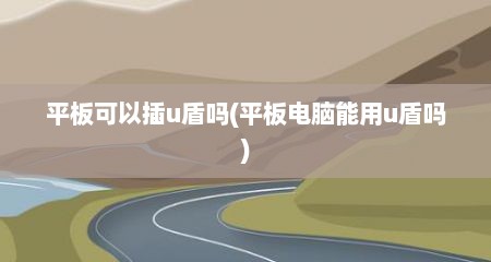 平板可以插u盾吗(平板电脑能用u盾吗)