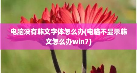电脑没有韩文字体怎么办(电脑不显示韩文怎么办win7)