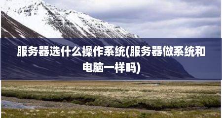 服务器选什么操作系统(服务器做系统和电脑一样吗)