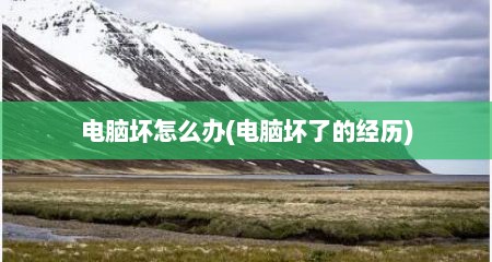 电脑坏怎么办(电脑坏了的经历)