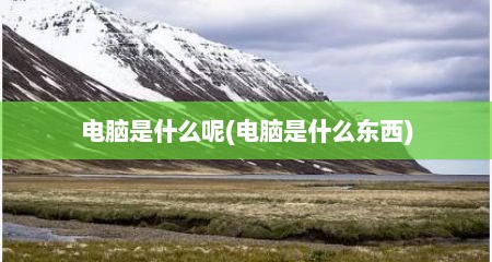 电脑是什么呢(电脑是什么东西)