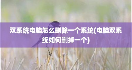 双系统电脑怎么删除一个系统(电脑双系统如何删掉一个)