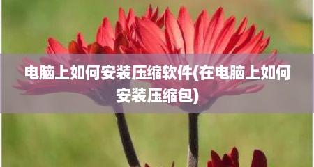 电脑上如何安装压缩软件(在电脑上如何安装压缩包)