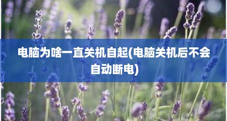 电脑为啥一直关机自起(电脑关机后不会自动断电)