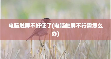 电脑触屏不好使了(电脑触屏不行需怎么办)