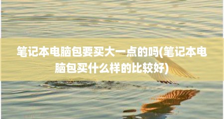 笔记本电脑包要买大一点的吗(笔记本电脑包买什么样的比较好)