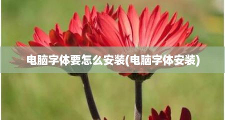 电脑字体要怎么安装(电脑字体安装)