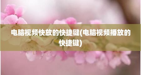 电脑视频快放的快捷键(电脑视频播放的快捷键)