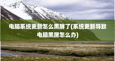 电脑系统更新怎么黑屏了(系统更新导致电脑黑屏怎么办)
