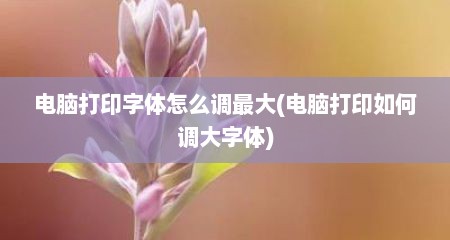 电脑打印字体怎么调最大(电脑打印如何调大字体)