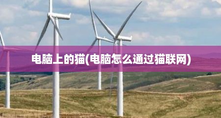 电脑上的猫(电脑怎么通过猫联网)