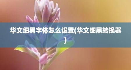 华文细黑字体怎么设置(华文细黑转换器)