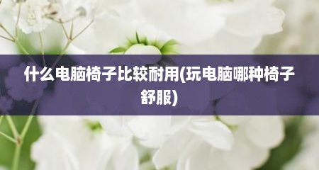 什么电脑椅子比较耐用(玩电脑哪种椅子舒服)