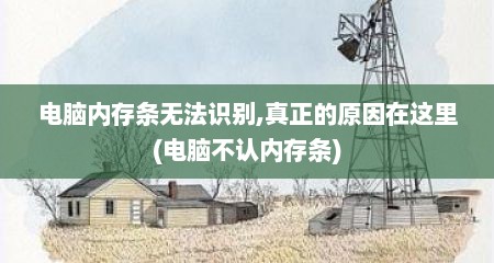 电脑内存条无法识别,真正的原因在这里(电脑不认内存条)