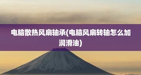电脑散热风扇轴承(电脑风扇转轴怎么加润滑油)