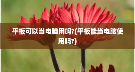 平板可以当电脑用吗?(平板能当电脑使用吗?)