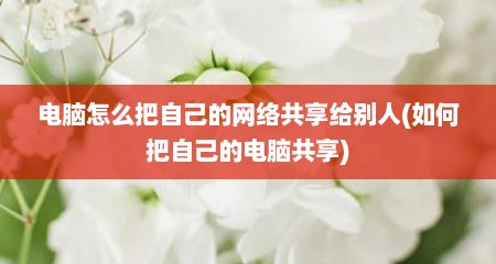 电脑怎么把自己的网络共享给别人(如何把自己的电脑共享)