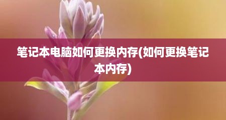 笔记本电脑如何更换内存(如何更换笔记本内存)
