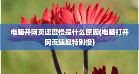 电脑开网页速度慢是什么原因(电脑打开网页速度特别慢)