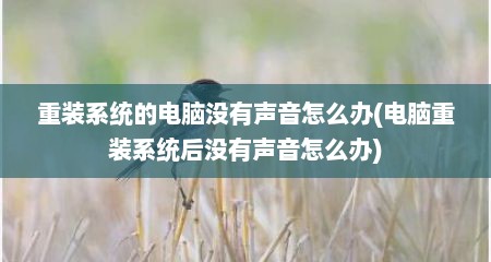 重装系统的电脑没有声音怎么办(电脑重装系统后没有声音怎么办)