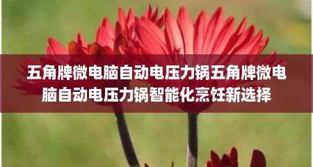五角牌微电脑自动电压力锅五角牌微电脑自动电压力锅智能化烹饪新选择