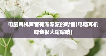 电脑耳机声音有滋滋滋的噪音(电脑耳机噪音很大嗡嗡响)