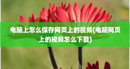 电脑上怎么保存网页上的视频(电脑网页上的视频怎么下载)
