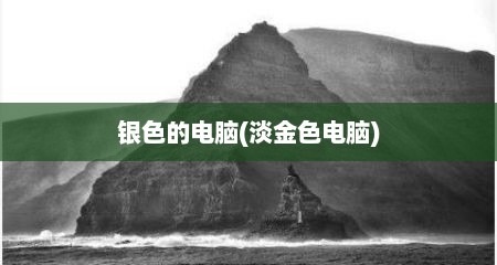银色的电脑(淡金色电脑)