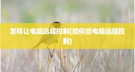 怎样让电脑远程控制(如何给电脑远程控制)